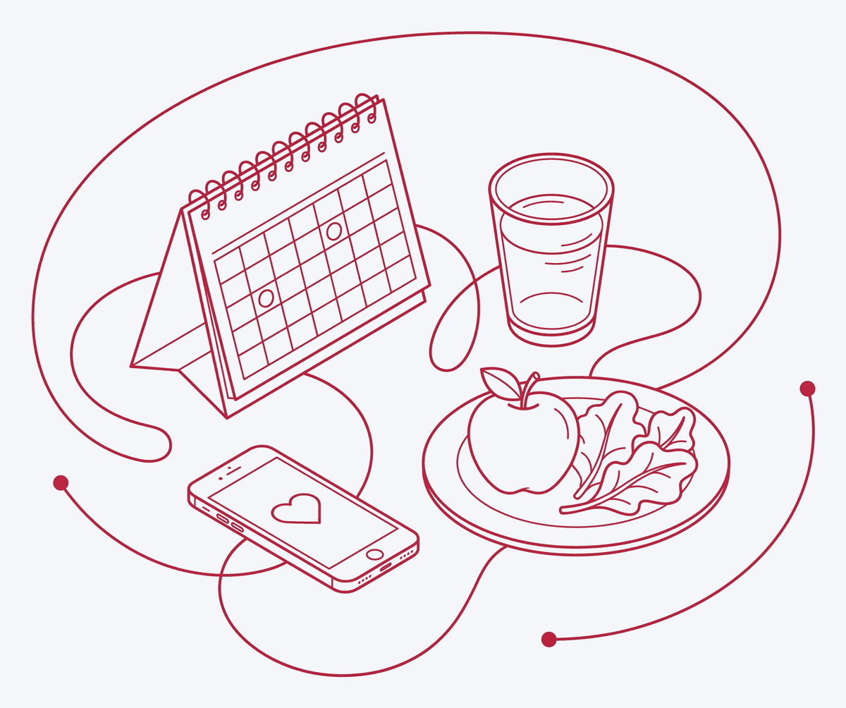 Line illustration of ongoing care: calendar, phone, water and a plate of fresh food
